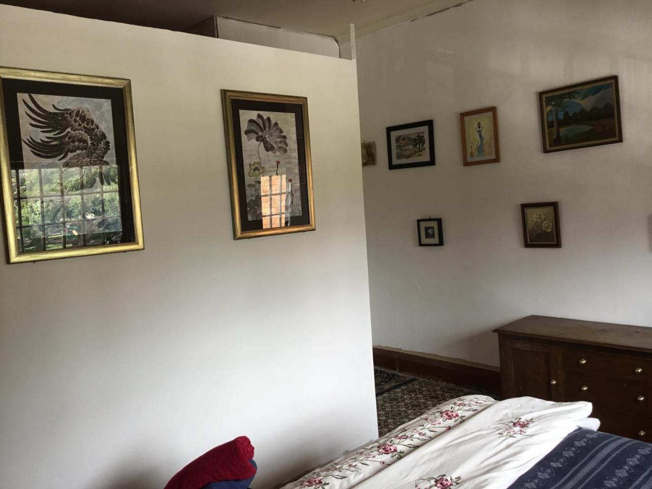 Fireside Inn Guesthouseゴールバーン エクステリア 写真