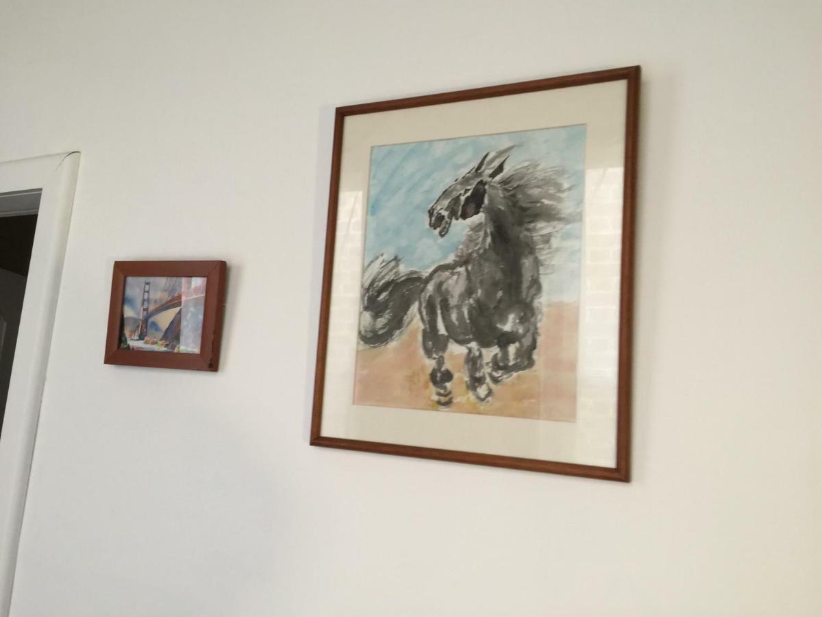 Fireside Inn Guesthouseゴールバーン エクステリア 写真